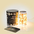 DIY Lighting IP68 Weather Proof Flexible LED Cooper Wire String Lights Wholesale